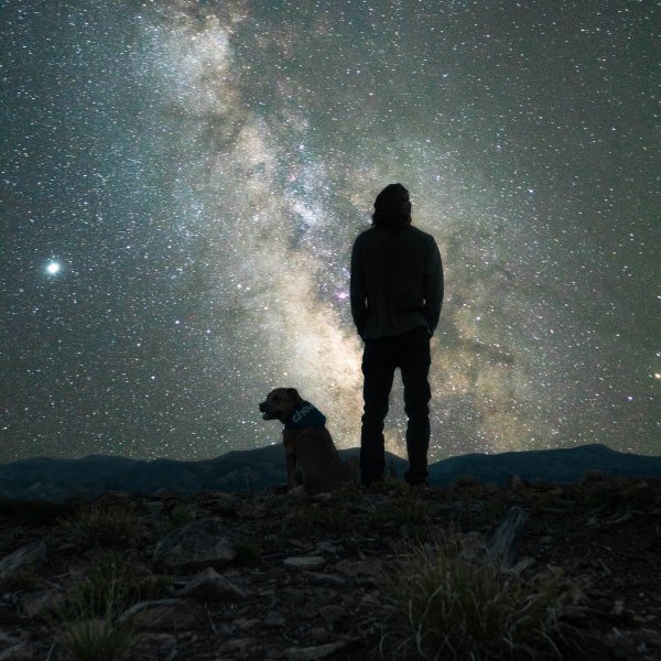 A man with dog watching stars